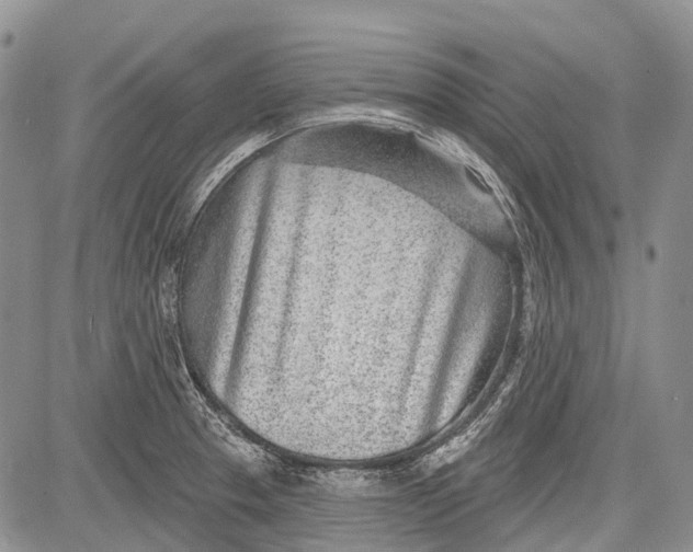 X0000081561329200702051139