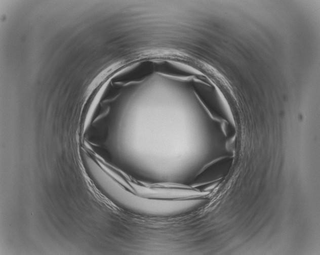 X0000081561330200702051139