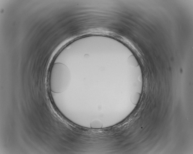 X0000081561331200702051139