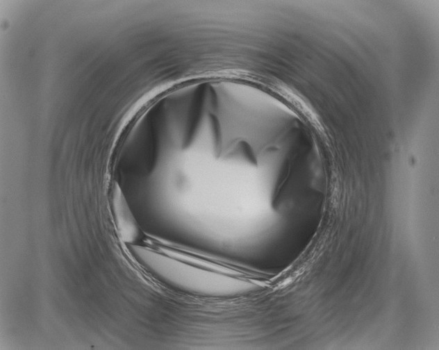 X0000081561332200702051139