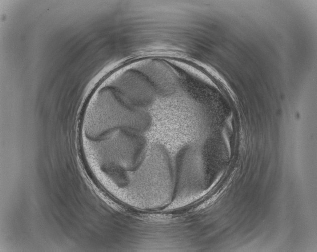 X0000081561333200702051139