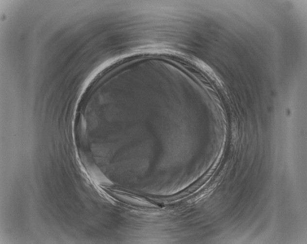 X0000081561334200702051139