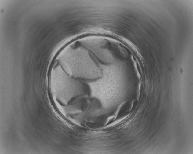 X0000081561335200702051139