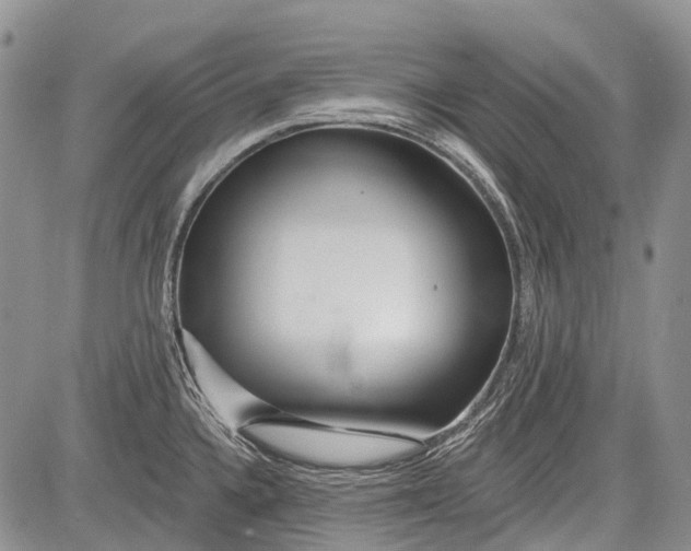 X0000081561336200702051139