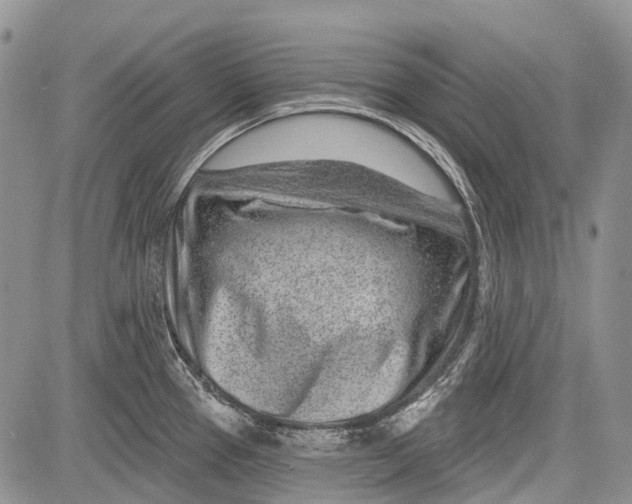 X0000081561337200702051140