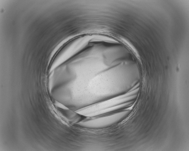 X0000081561340200702051140