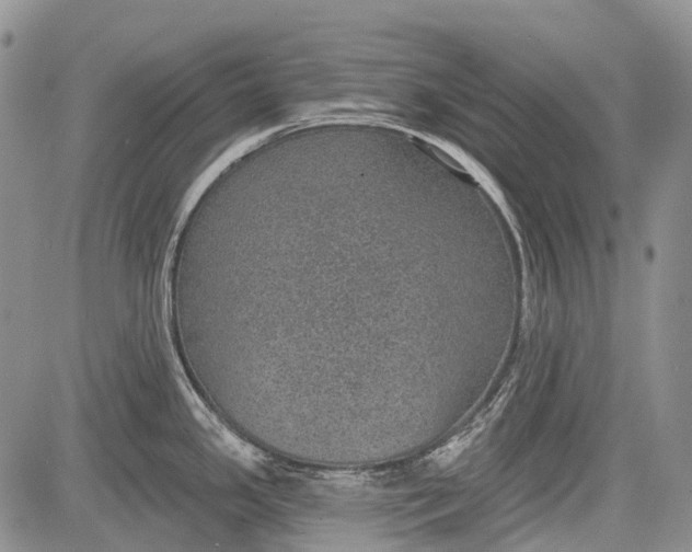 X0000081561341200702051140