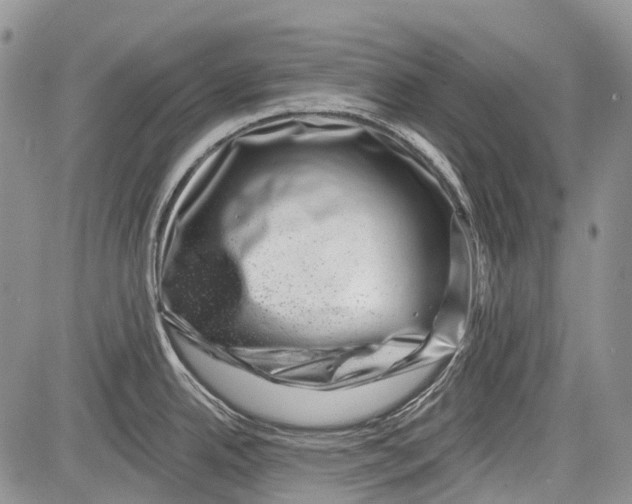 X0000081561342200702051140