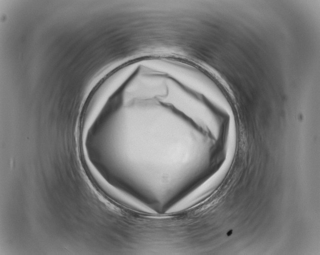 X0000081561343200702051140