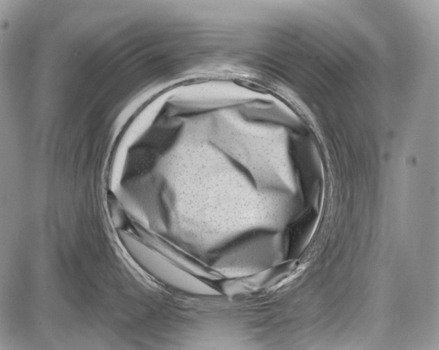 X0000081561344200702051140