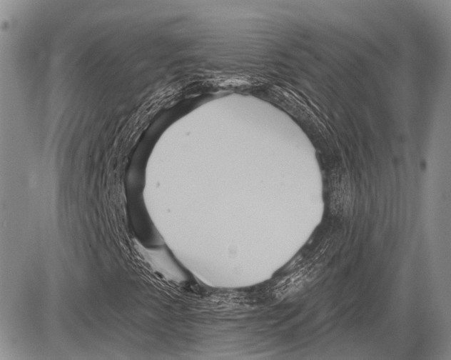 X0000081561345200702051139