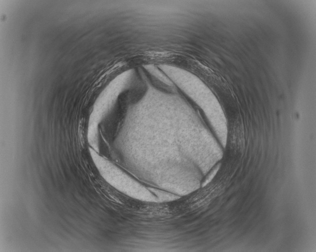 X0000081561346200702051139