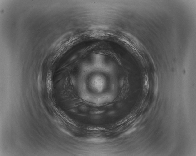 X0000081561348200702051139