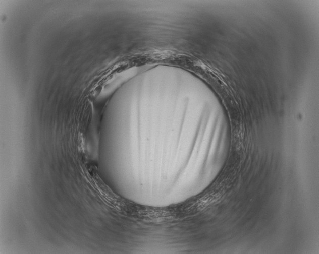 X0000081561349200702051139