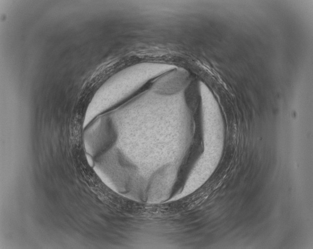 X0000081561350200702051139