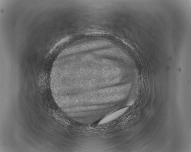 X0000081561351200702051139