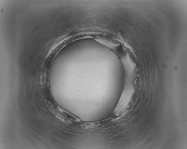 X0000081561352200702051139