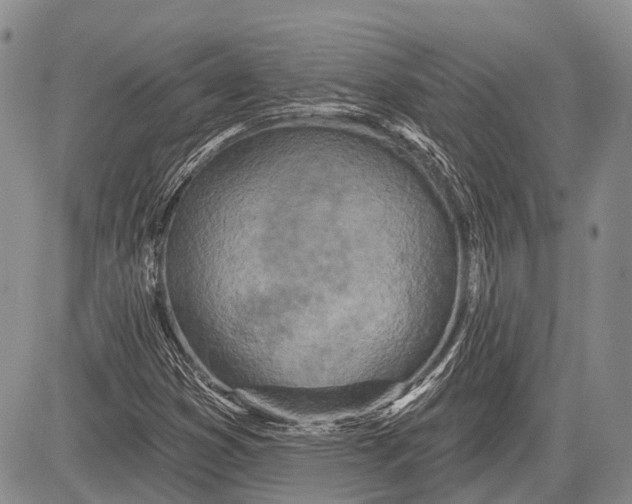 X0000081561353200702051139