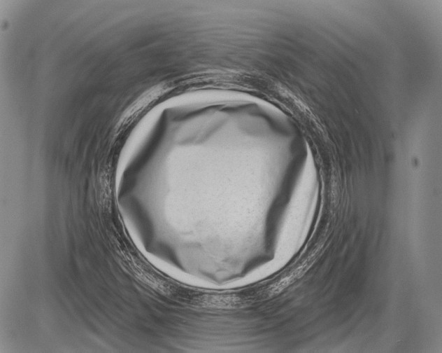 X0000081561354200702051139