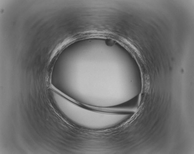 X0000081561357200702051139