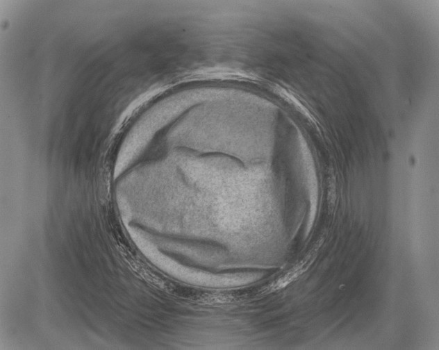 X0000081561358200702051139