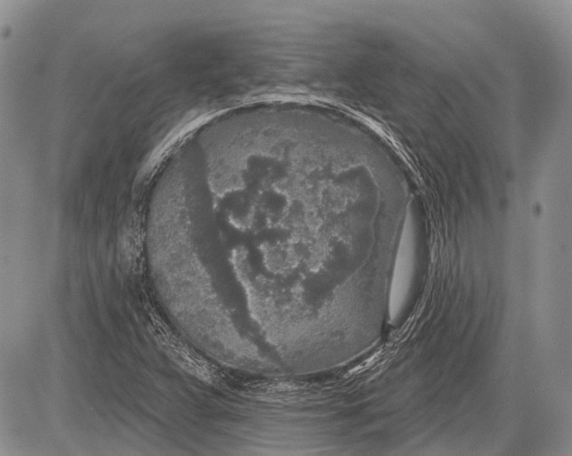 X0000081561359200702051139