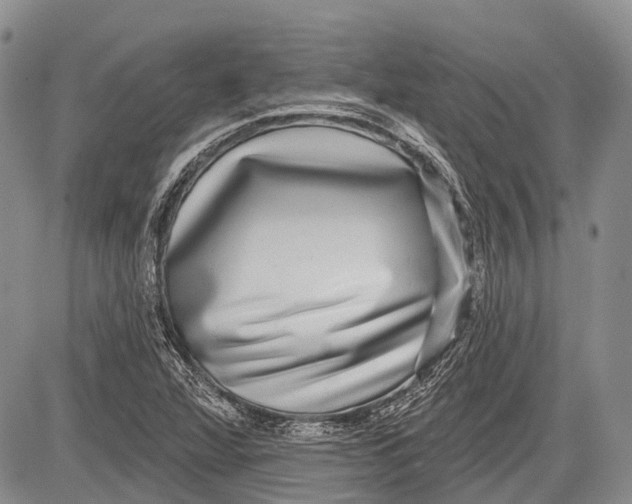 X0000081561360200702051139