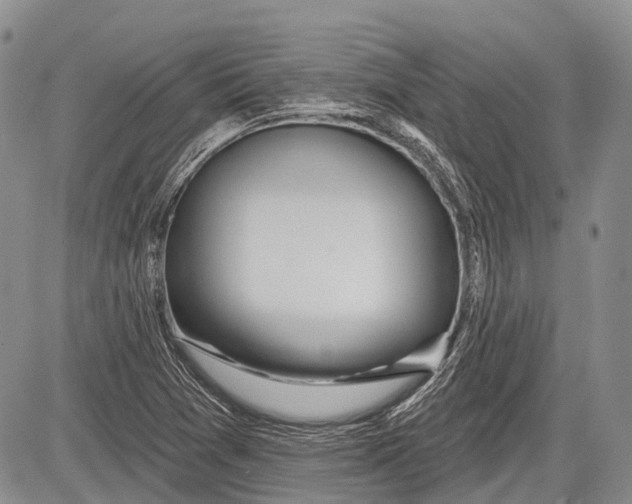 X0000081561361200702051139