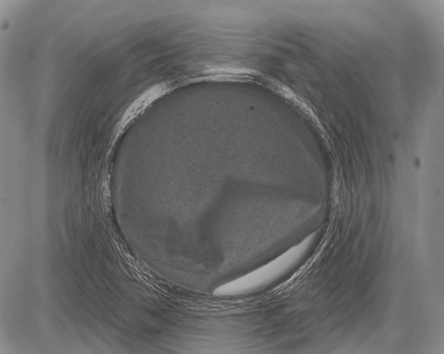 X0000081561362200702051139