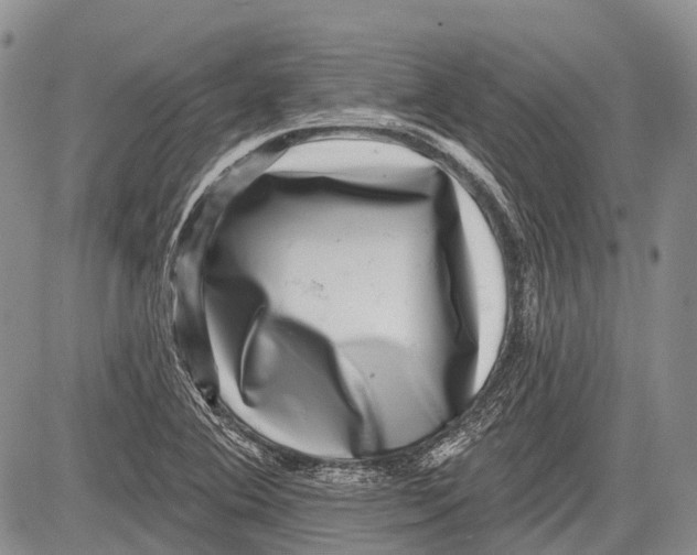 X0000081561364200702051139