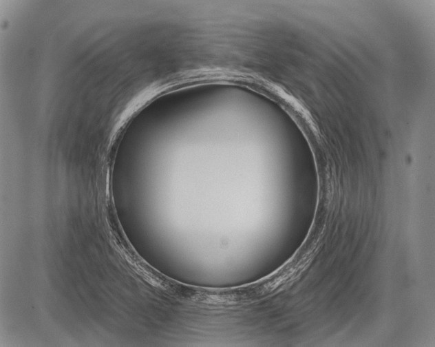 X0000081561365200702051139