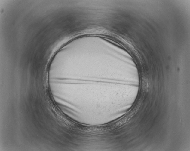 X0000081561366200702051138