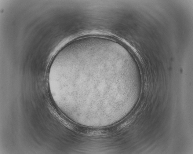 X0000081561367200702051138