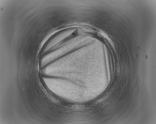 X0000081561368200702051138