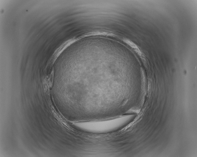 X0000081561369200702051138