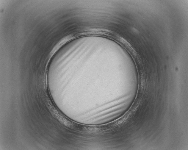 X0000081561370200702051138