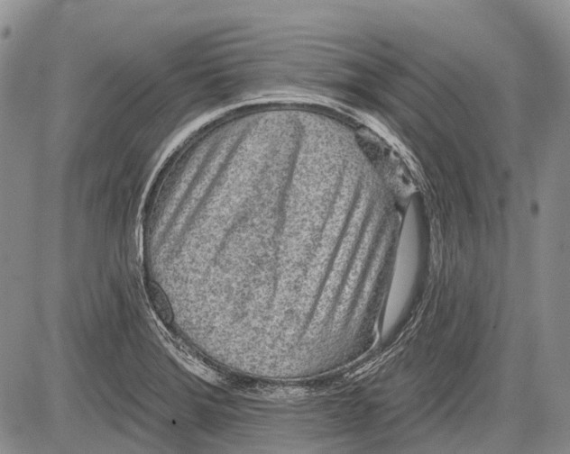 X0000081561372200702051138