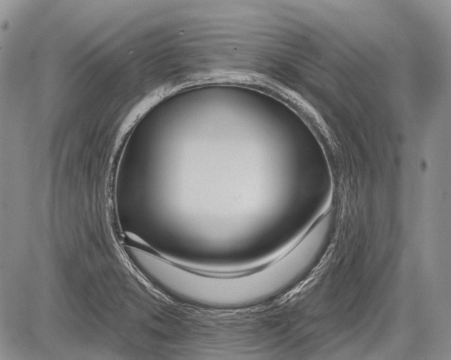 X0000081561373200702051138