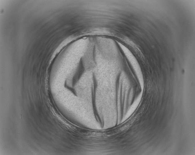 X0000081561374200702051138