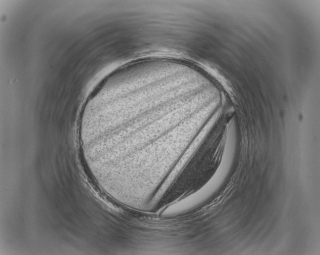 X0000081561375200702051138