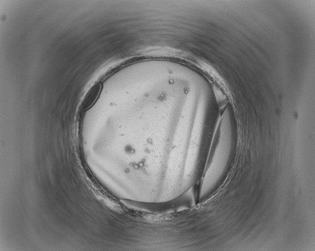 X0000081561376200702051138