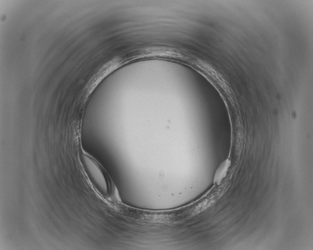 X0000081561377200702051138