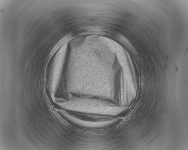 X0000081561378200702051138