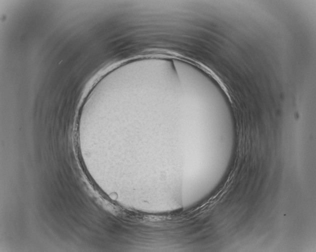 X0000081561379200702051138