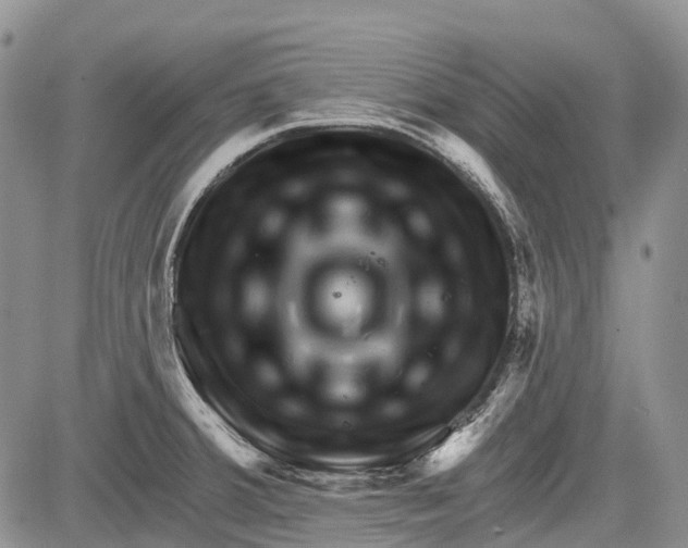 X0000081561380200702051138