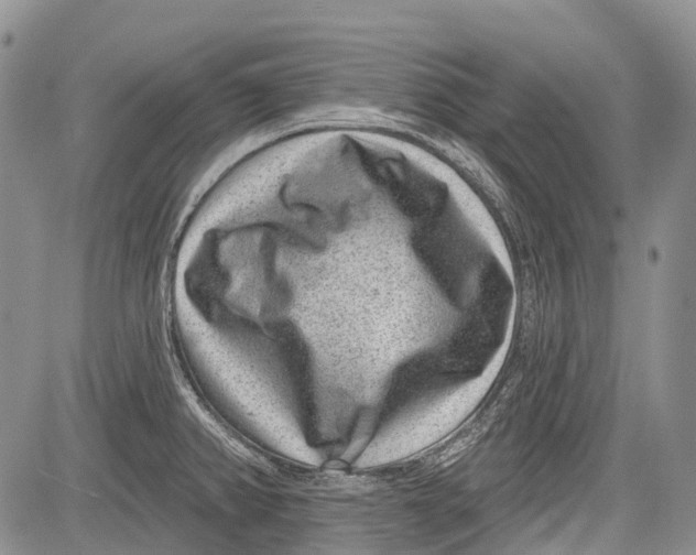 X0000081561382200702051138