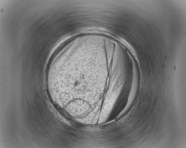 X0000081561384200702051138