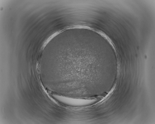 X0000081561385200702051138