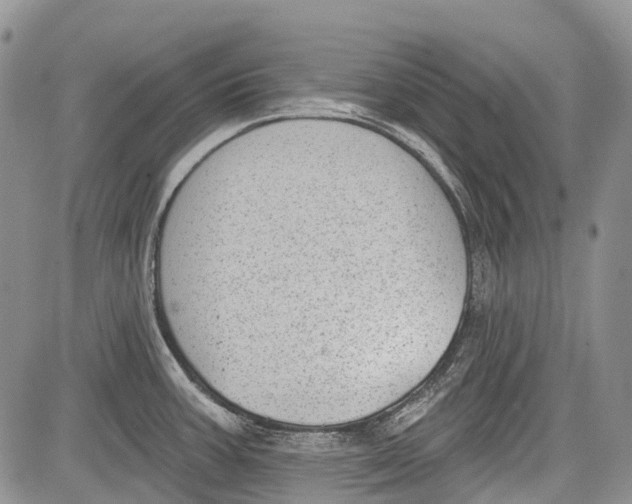 X0000081561387200702051138