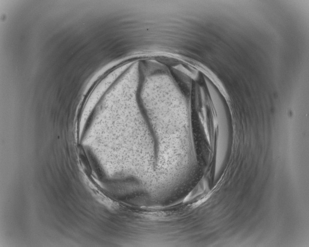 X0000081561388200702051138